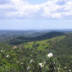 Countryside around Portimao